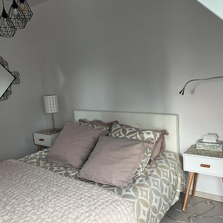 Studio Strasbourg Niederhausbergen Extérieur photo